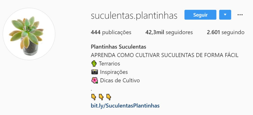 afiliado plantinhas suculentas