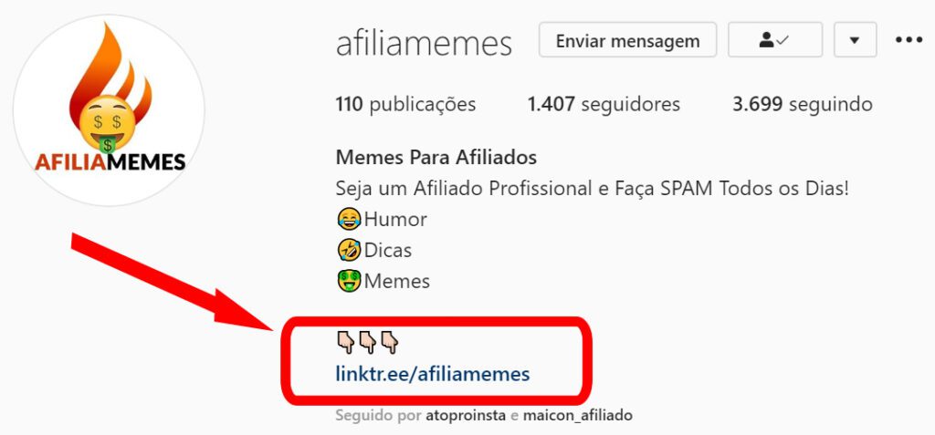 bio do instagram afiliamemes