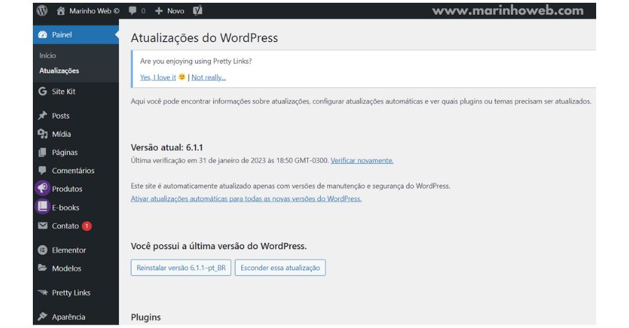 atualizacoes do wordpress